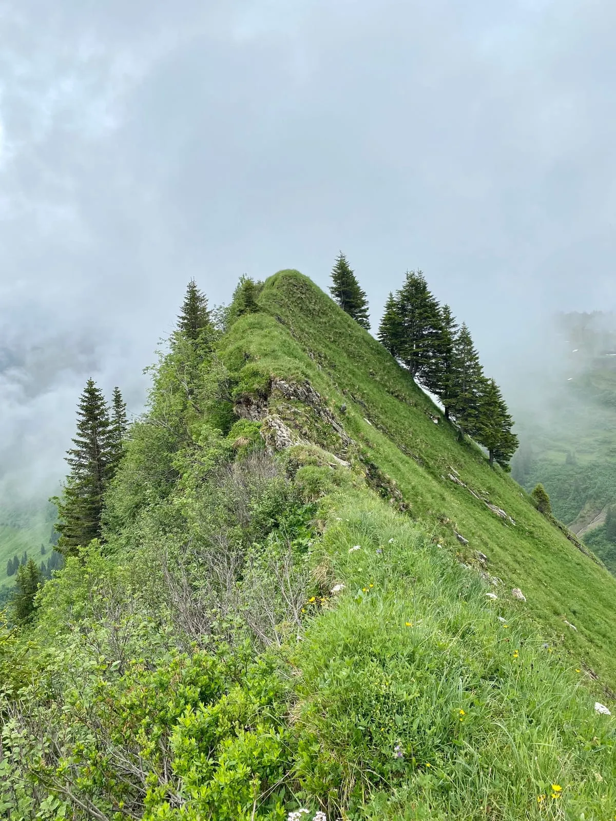 Wanderung Derraköpfle (1838 m) — 9km, 3Std, 600Hm