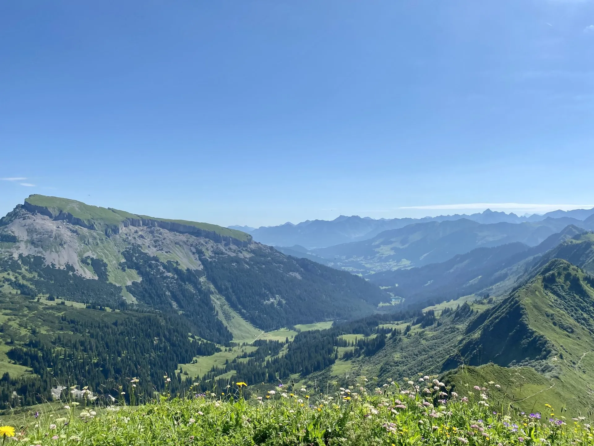 Wanderung Hochstarzelspitze & Grünhorn — 12km, 4Std, 900Hm