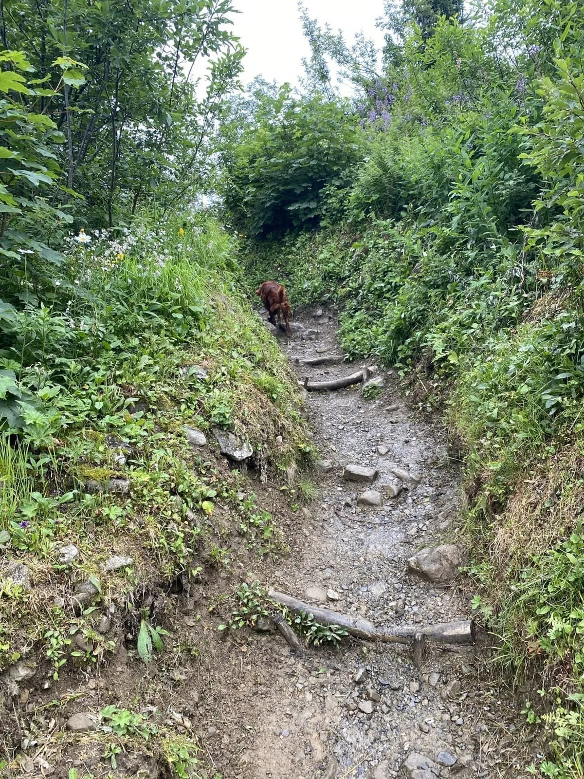 Wanderung Duratal → Ochsenhofer Scharte — 13,5km, 4,5Std, 700Hm