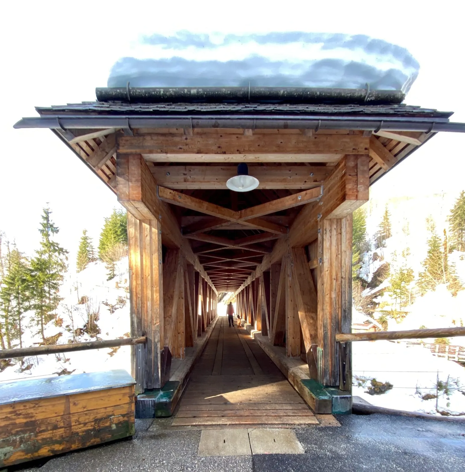 Spaziergang Nebenwasser & Höflerbrücke — 6km, 2Std, 220Hm