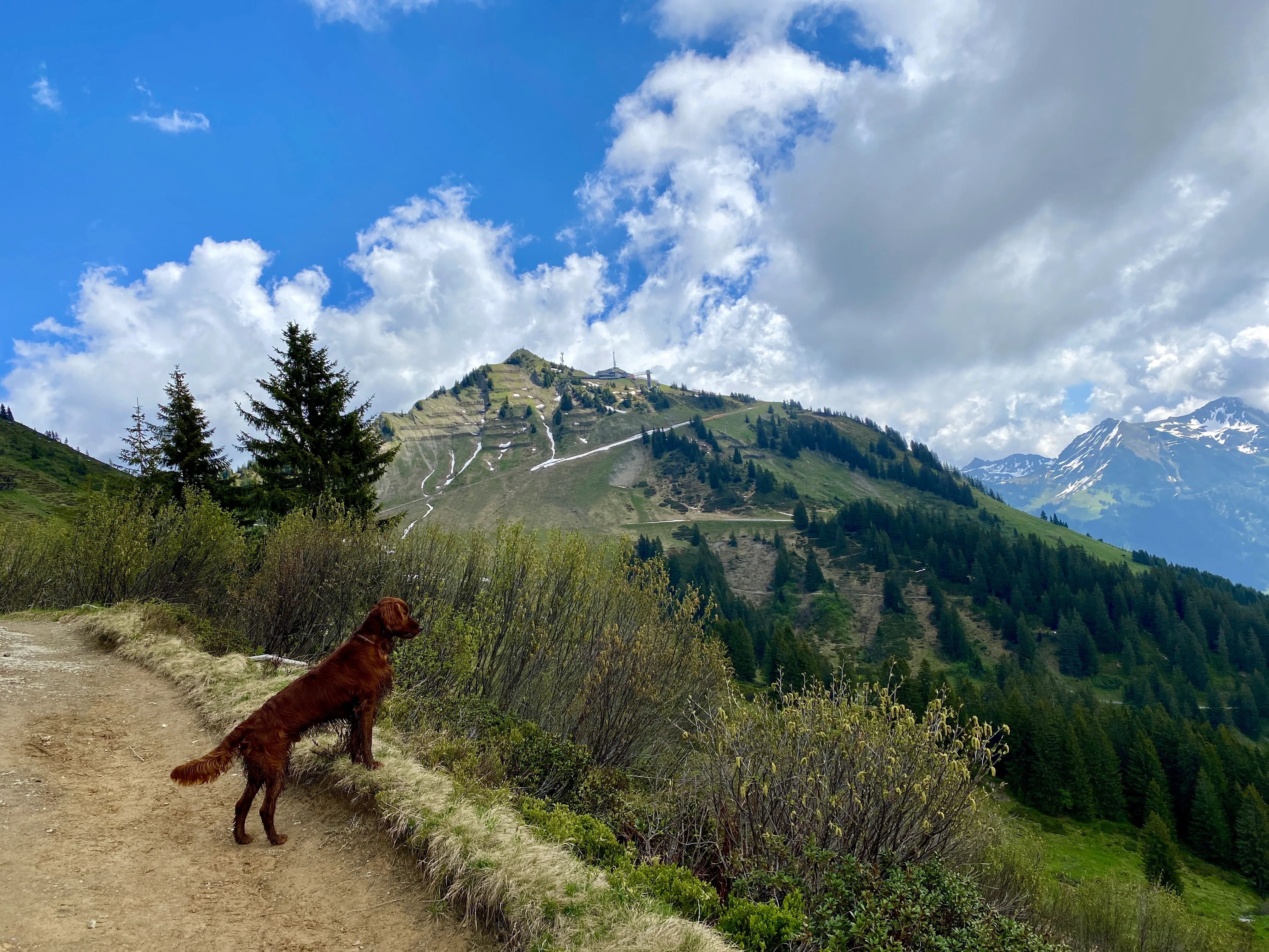 Wanderung Schwarzwasserhütte & Ochsenhofer Scharte — 20km, 6,5Std, 730Hm