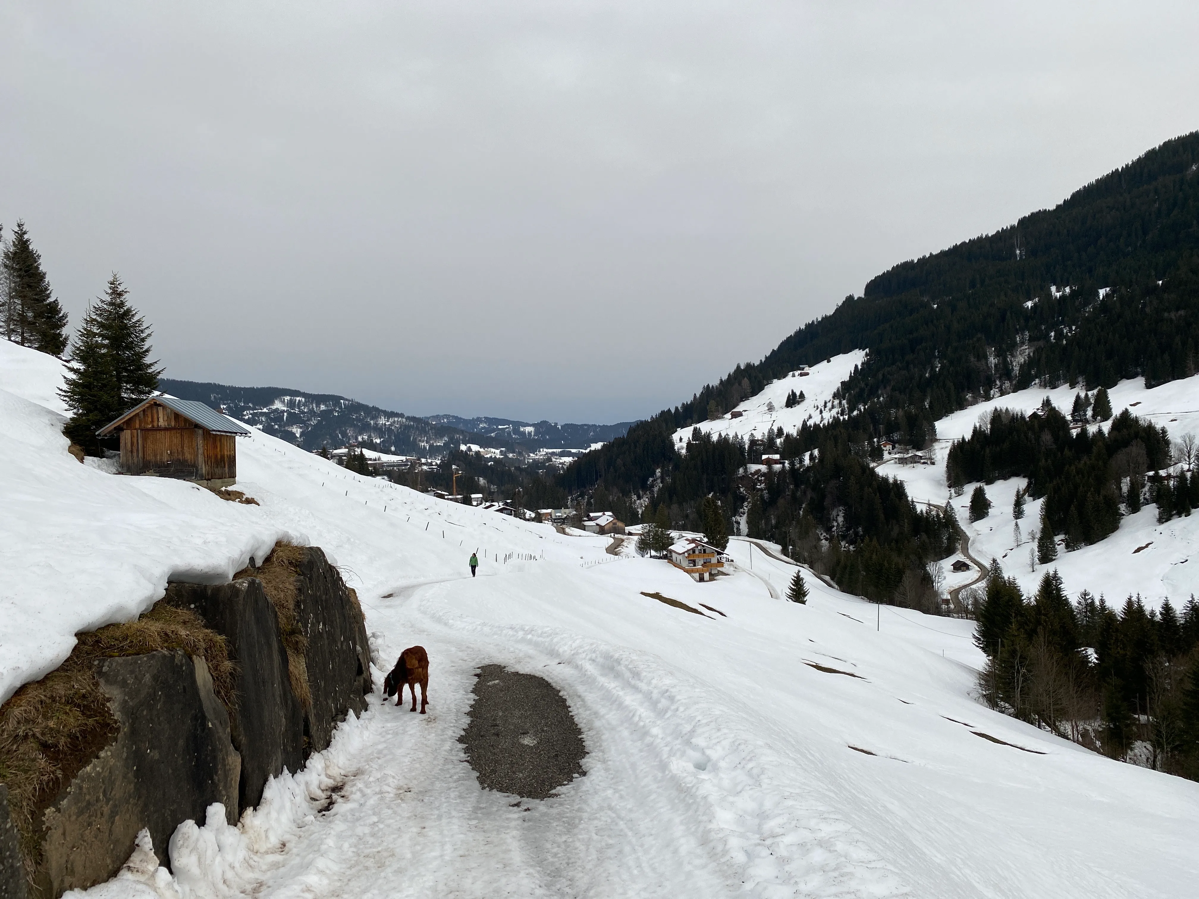 Spaziergang Rohrsee & Tobel — 3,5km, 1Std, 130Hm