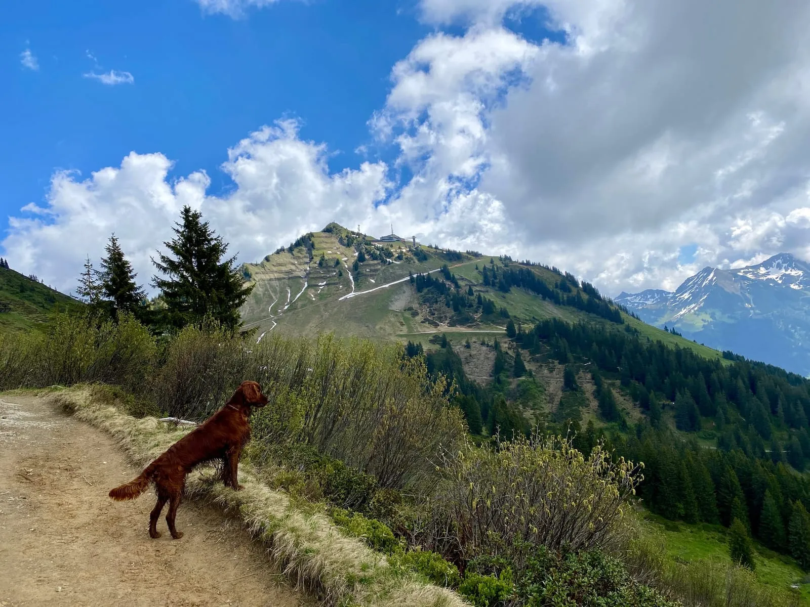 Wanderung Schwarzwasserhütte & Ochsenhofer Scharte — 20km, 6,5Std, 730Hm