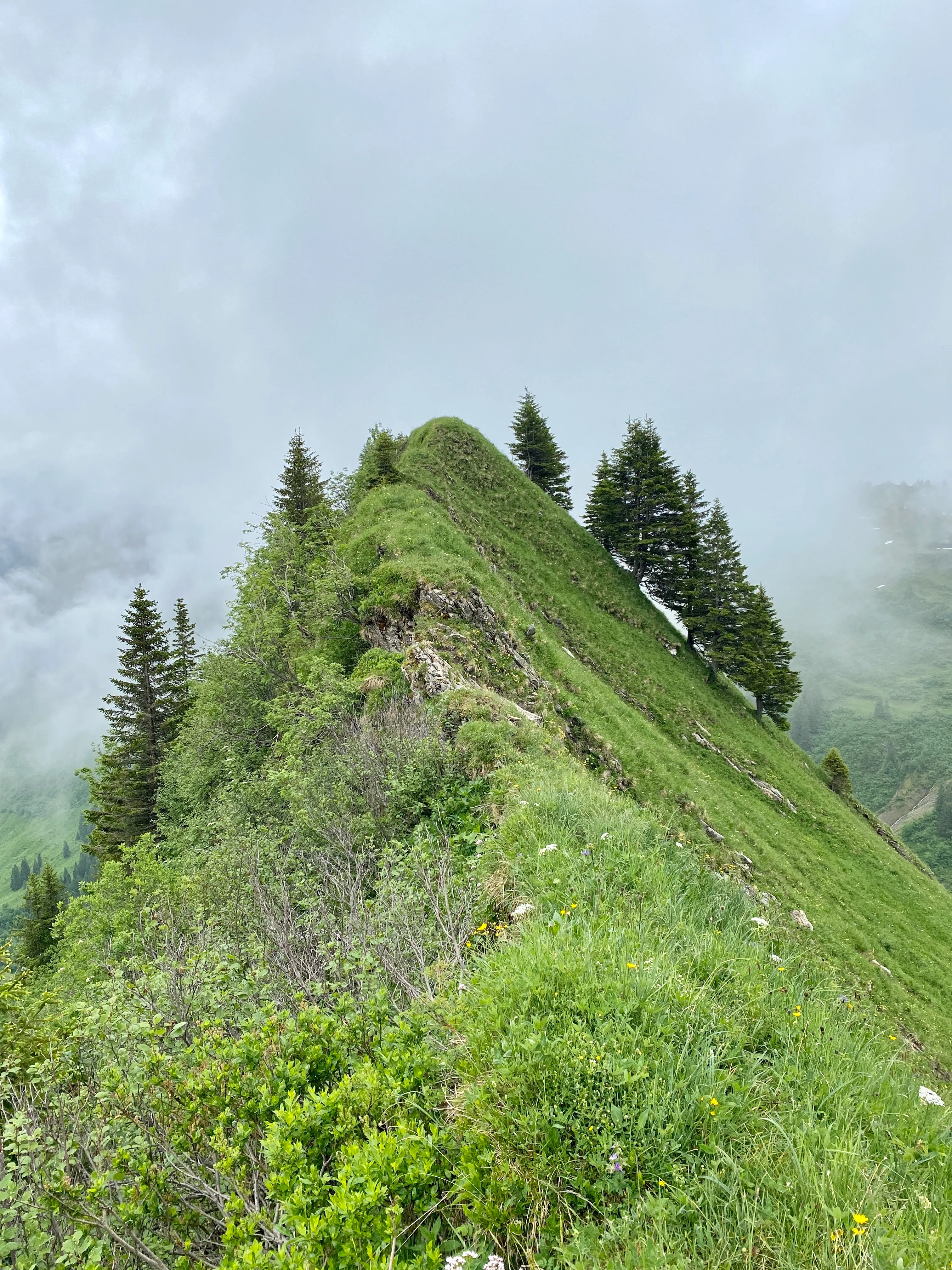 Wanderung Derraköpfle (1838 m) — 9km, 3Std, 600Hm