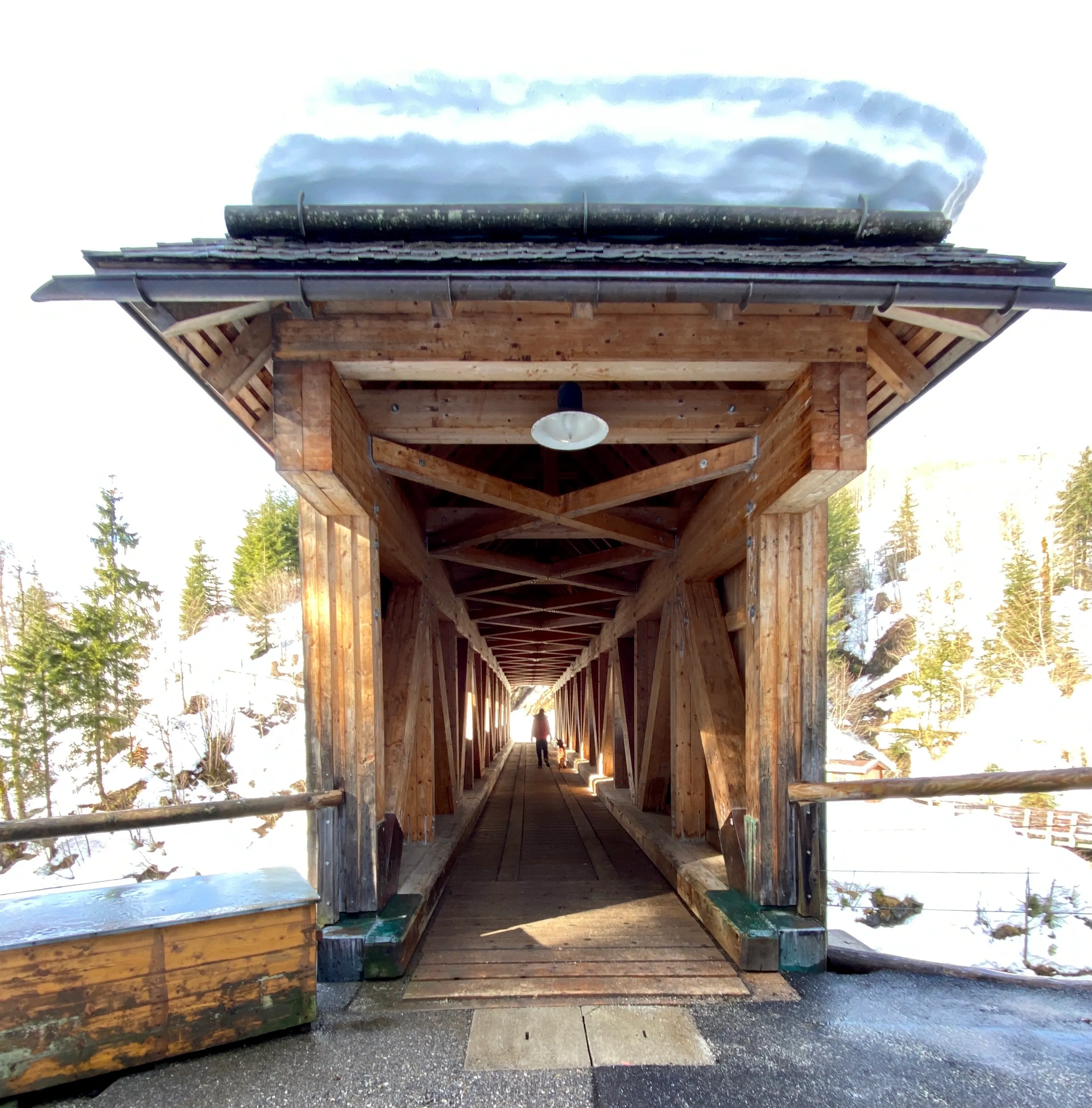 Spaziergang Nebenwasser & Höflerbrücke — 6km, 2Std, 220Hm