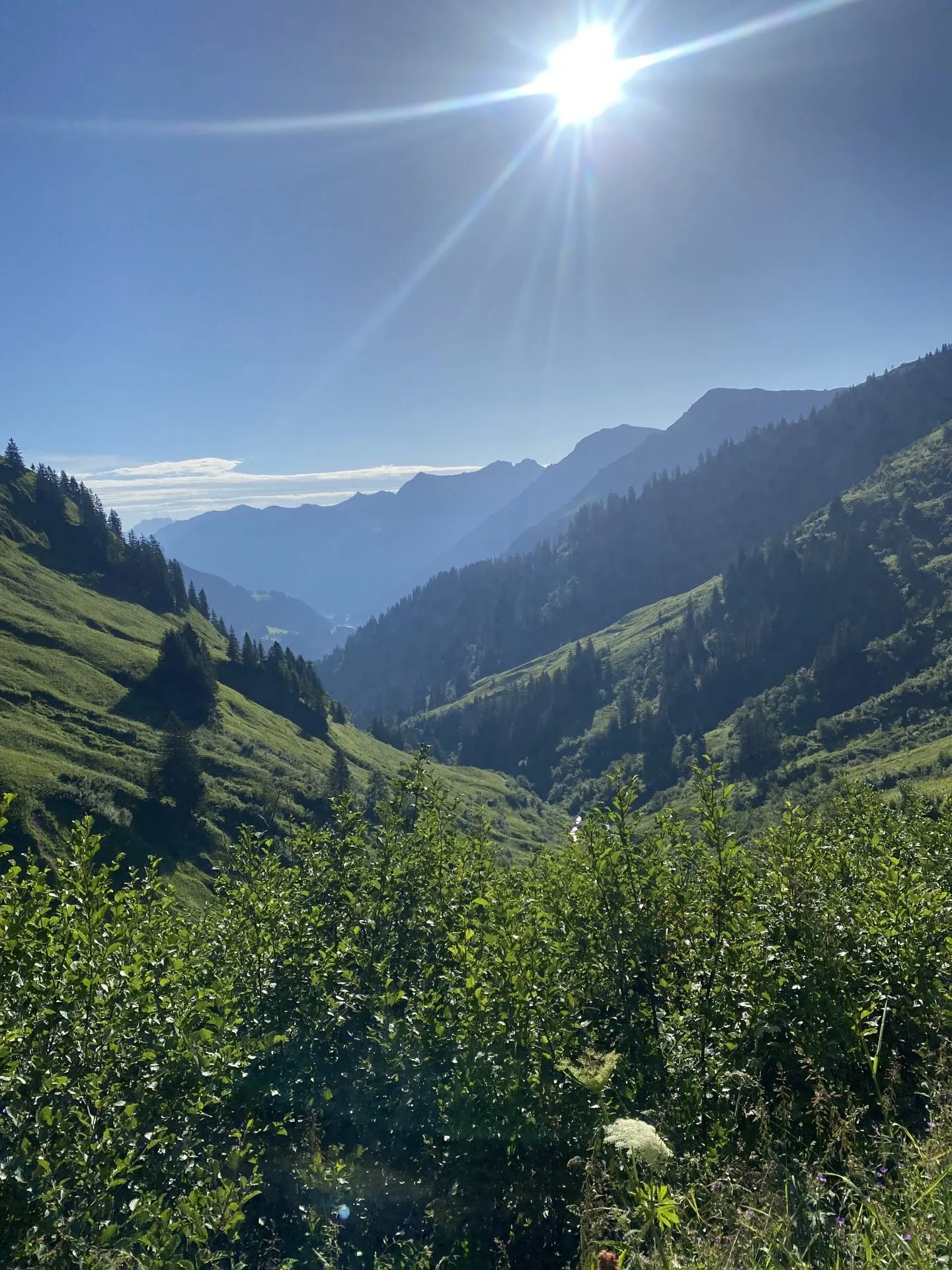 Derratal