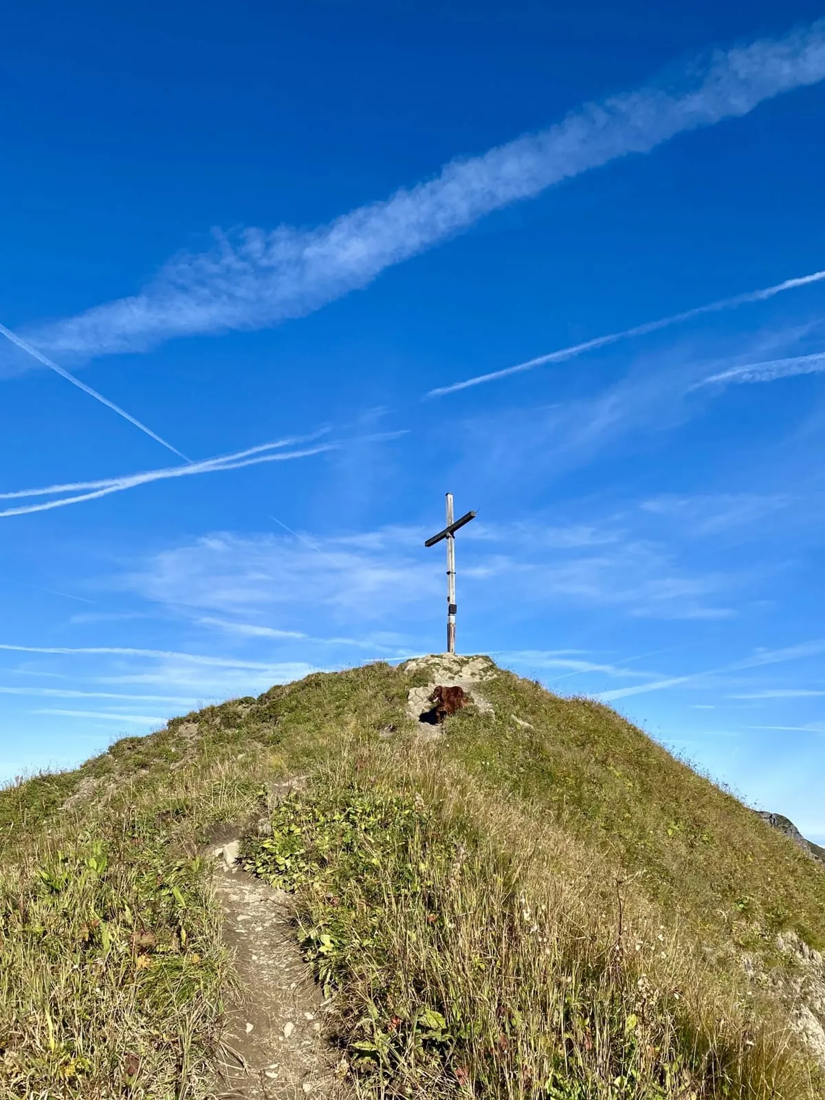 Gipfelkreuz Höferspitze