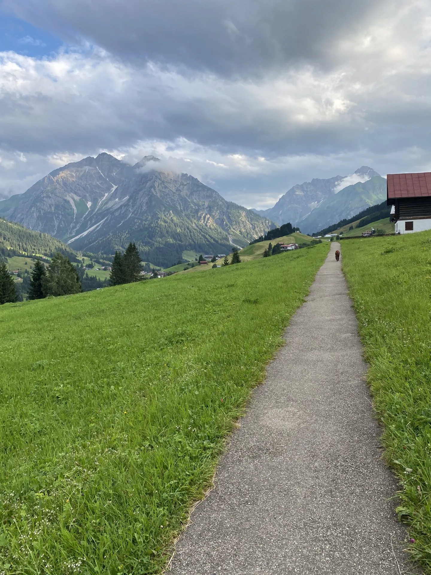 Die letzten Meter mit schönem Ausblick