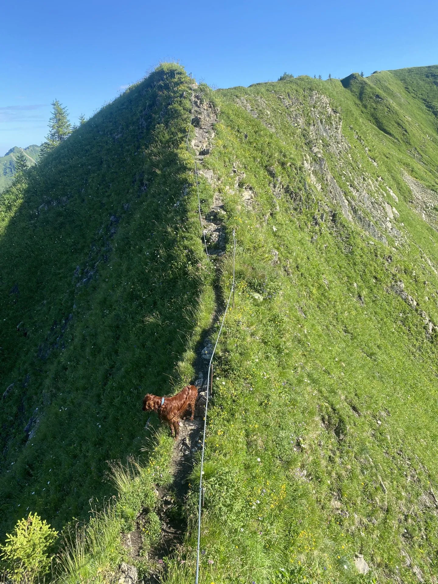 Gratwanderung