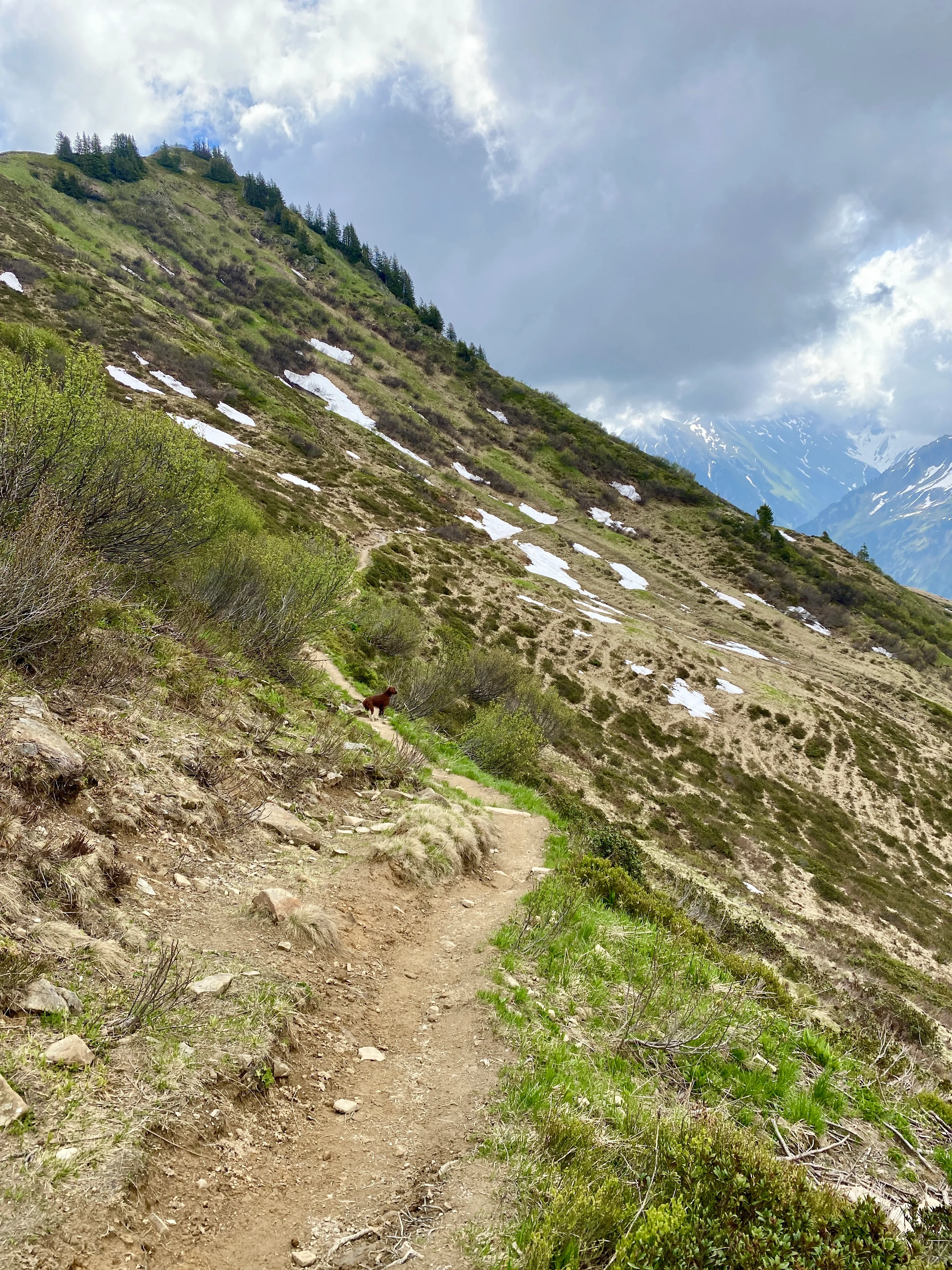 Weg zur Lüchlealpe