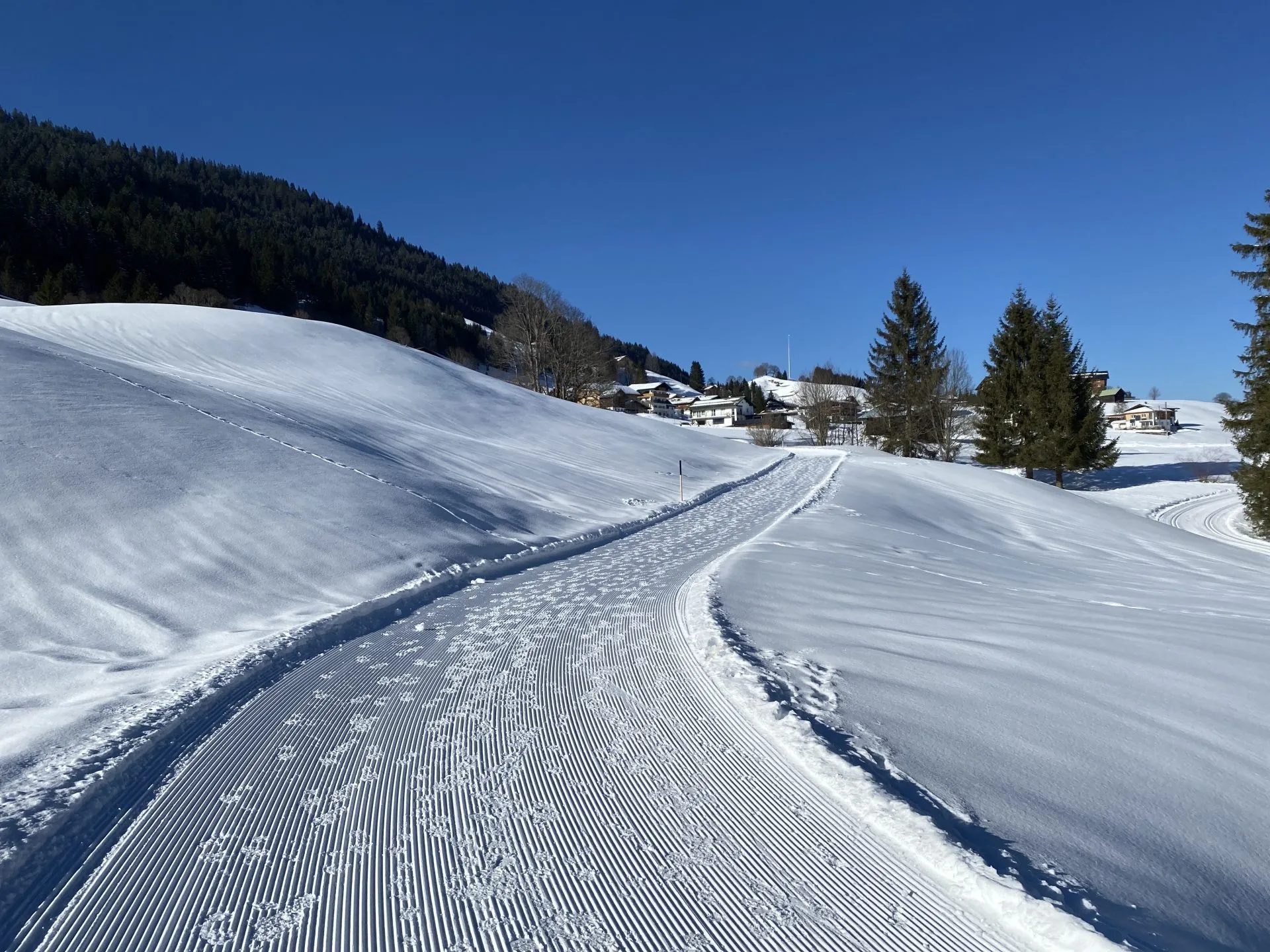 Zurück vorbei an der Loipe
