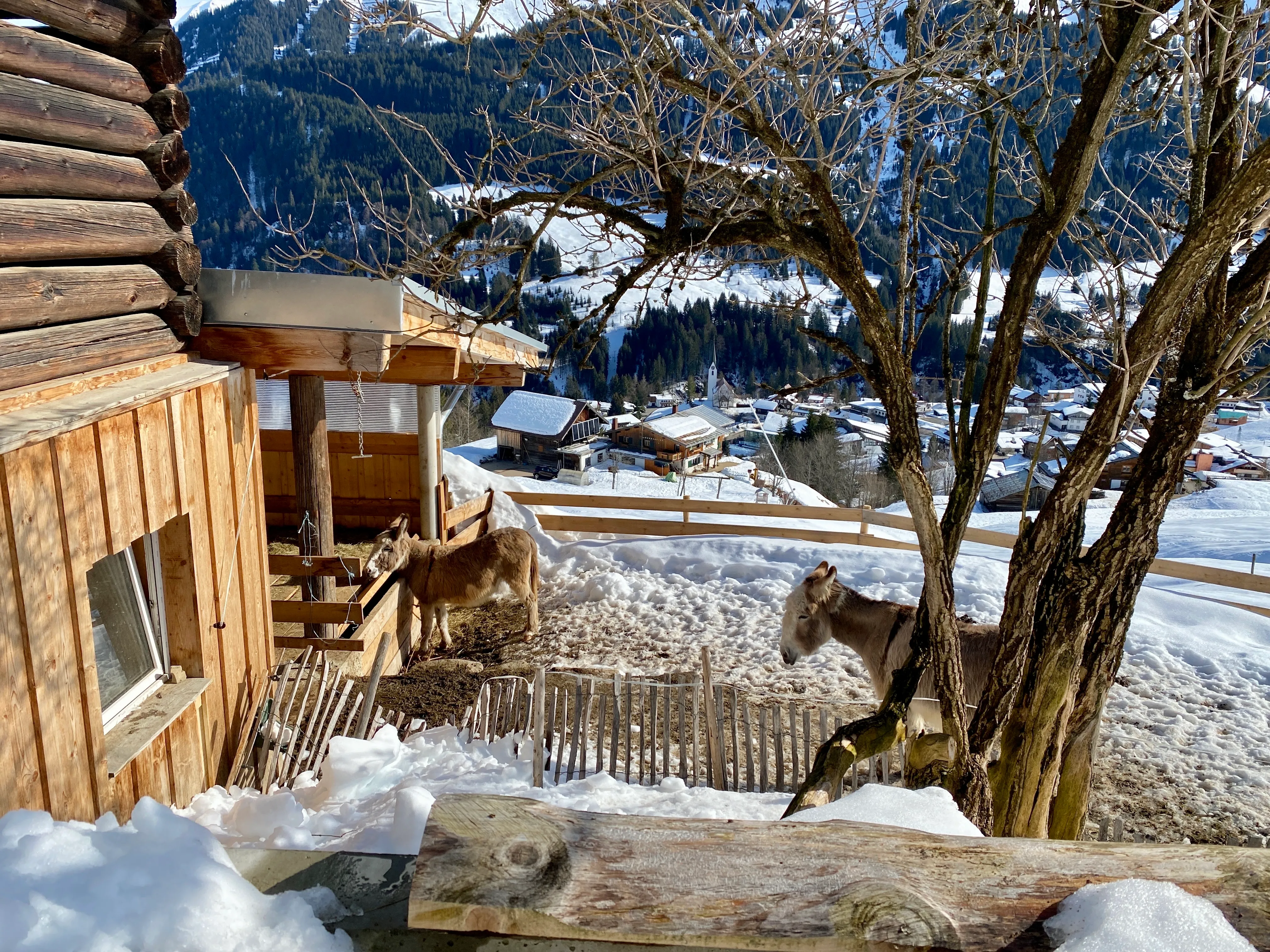 Eselgarage oberhalb unseres Hauses