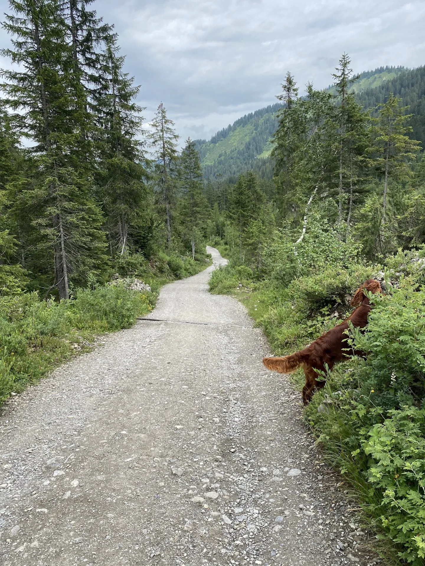 Rückweg über die Melköde