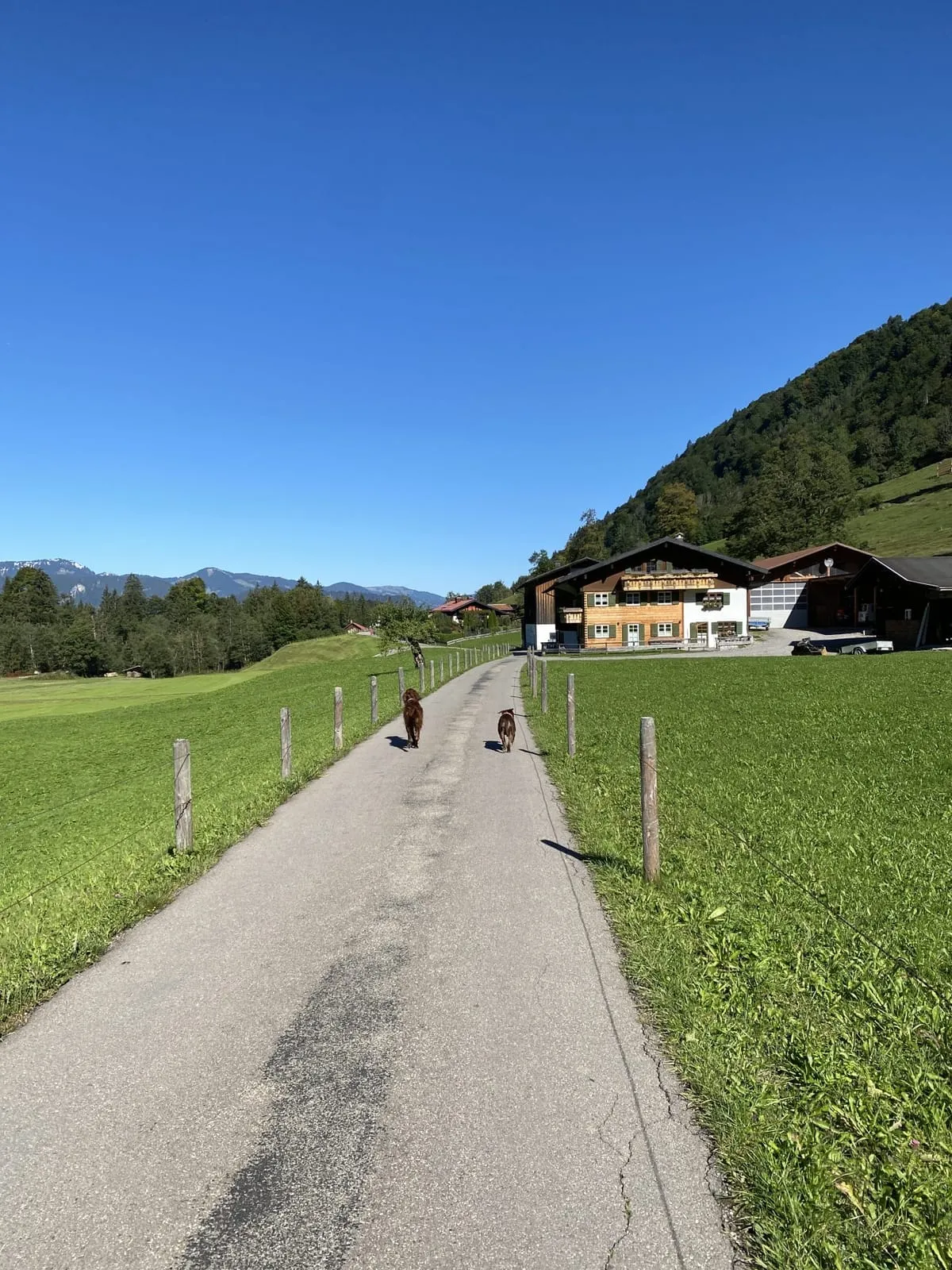 Rückweg mit Einkehrmöglichkeit