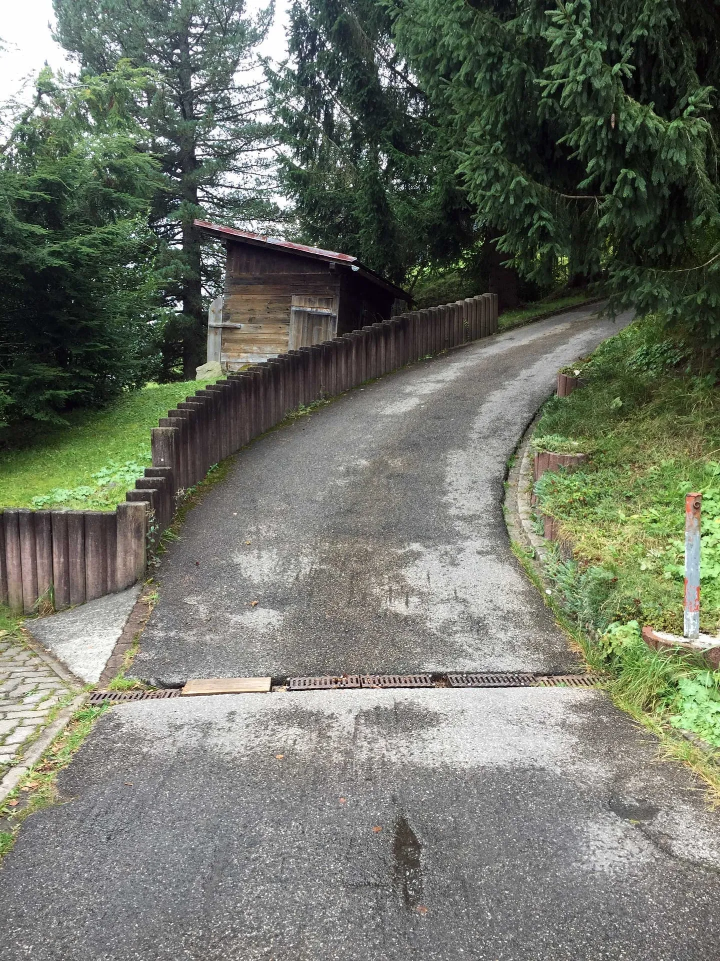 Toegangsweg naar het vakantieappartement Gondamaika in de zomer, Hirschegg