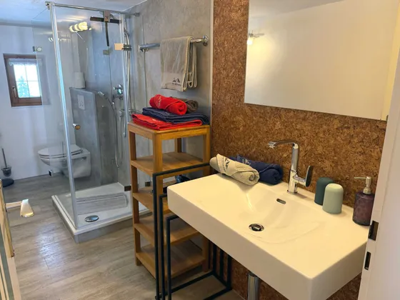 Badkamer met daglicht van Appartement 11 met wastafel, handdoeken, zeepdispenser en föhn