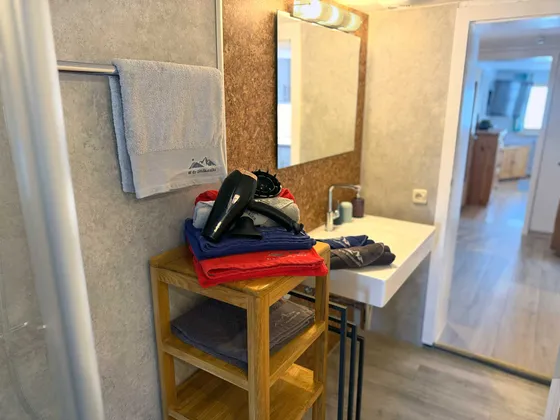 Badkamer van Appartement 11 met handdoeken, handdoekstang, ophangmogelijkheden en föhn bij de wastafel