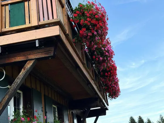Flowers on the balcony of the Gondamaika holiday apartments against a blue sky