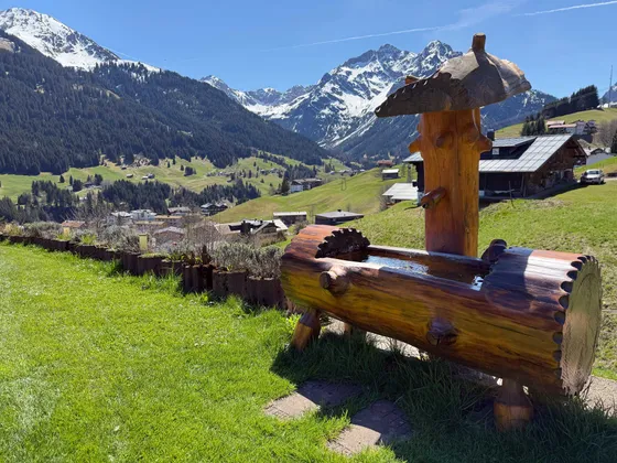 Wooden fountain in the garden with a view of mountains and the valley in the Kleinwalsertal