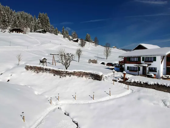 Holiday house on the Heuberg with a sunlit terrace and access to the H8 ski slope, Kleinwalsertal